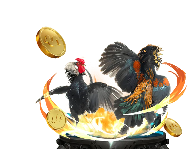 Các hành vi bị cấm tại okking casino